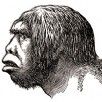 Joo Neanderthal