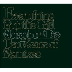 Album Adapt or Die: Ten Years of Remixes