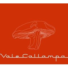 Album Vale Callampa (Dig)